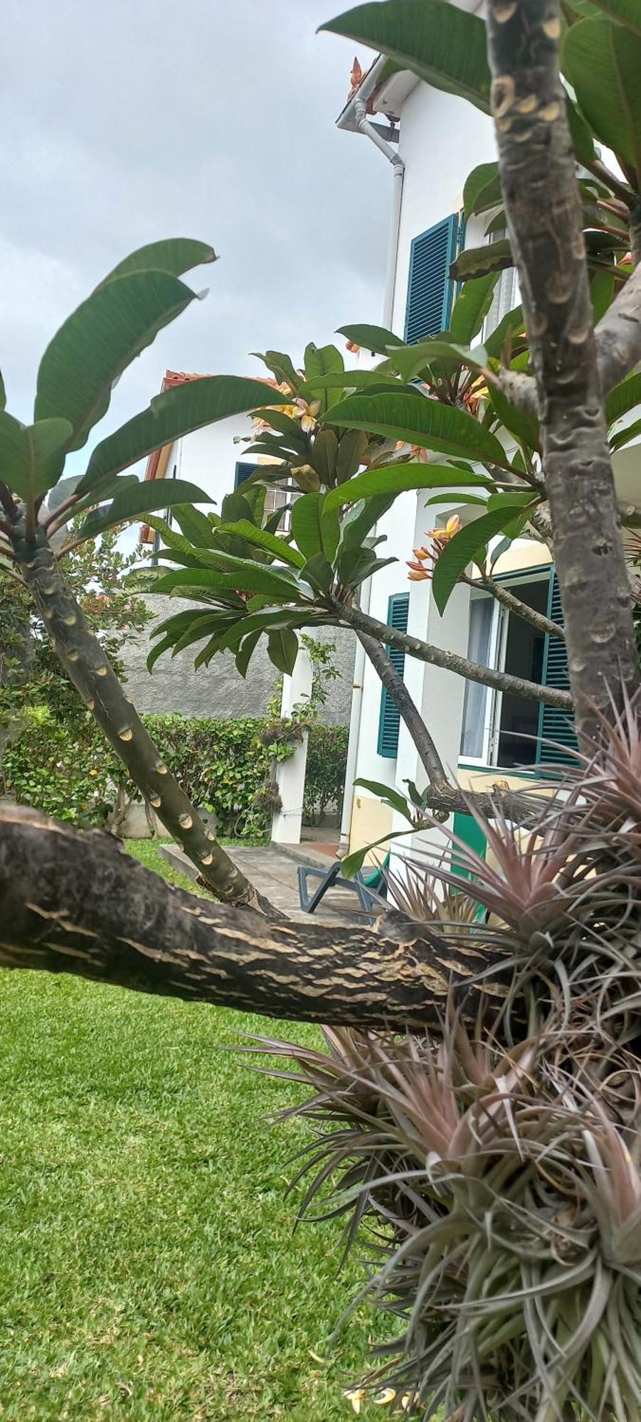 Villa Cosy Nook Funchal  Exterior photo