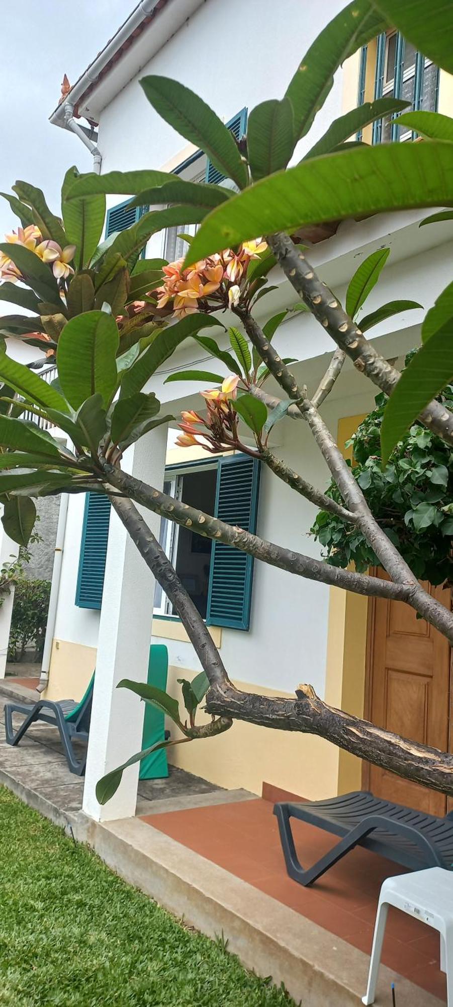 Villa Cosy Nook Funchal  Exterior photo